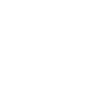 Banin Logo